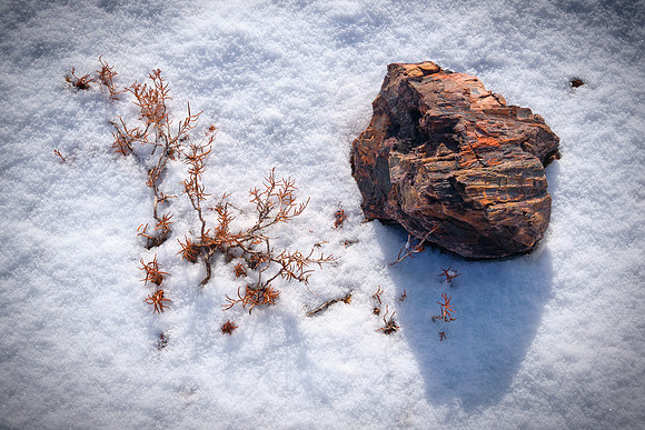 Untitled by Todd Haughton