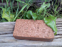 Red Brick & Obscured Cedar & Self-Seed Beet