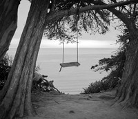Todd Haughton